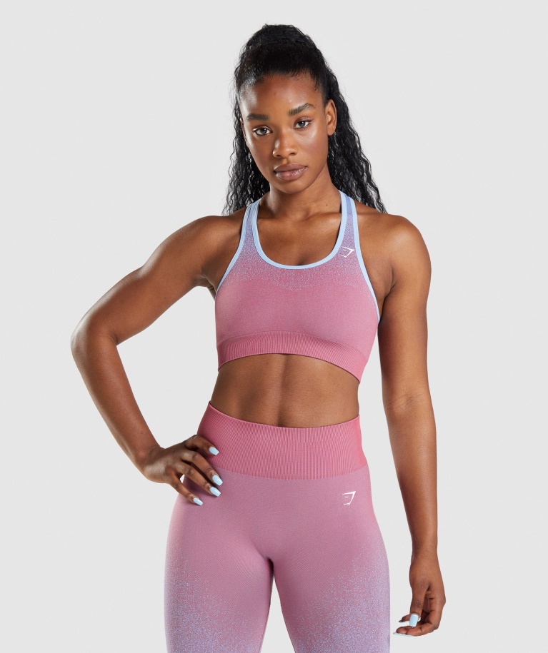 Gymshark Adapt Ombre Seamless Sports Bra Rose Pink-Light Blue