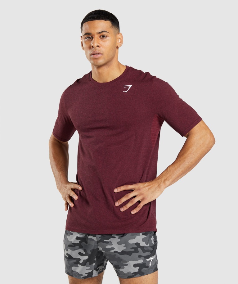 Gymshark Burgundy Red Marl Arrival Seamless Short Sleeve T-Shirt